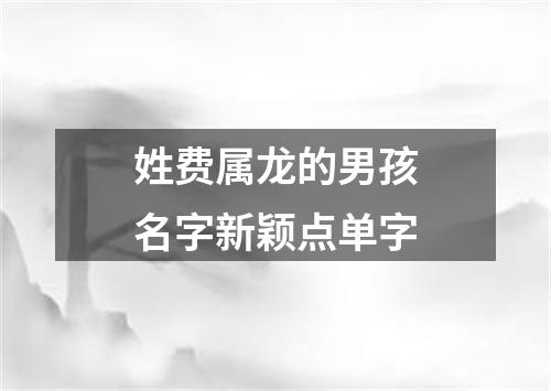 姓费属龙的男孩名字新颖点单字