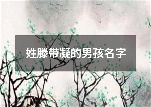 姓滕带凝的男孩名字