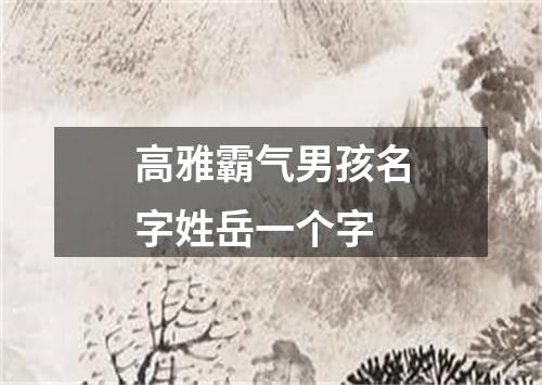 高雅霸气男孩名字姓岳一个字