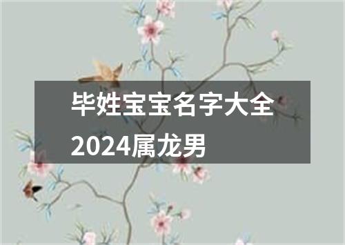 毕姓宝宝名字大全2024属龙男