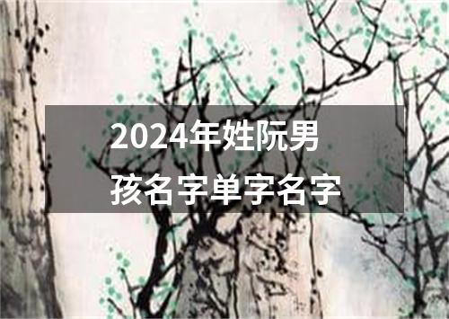 2024年姓阮男孩名字单字名字