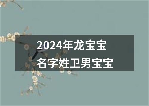 2024年龙宝宝名字姓卫男宝宝