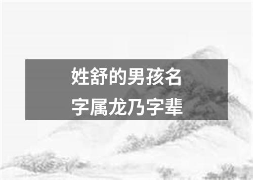 姓舒的男孩名字属龙乃字辈