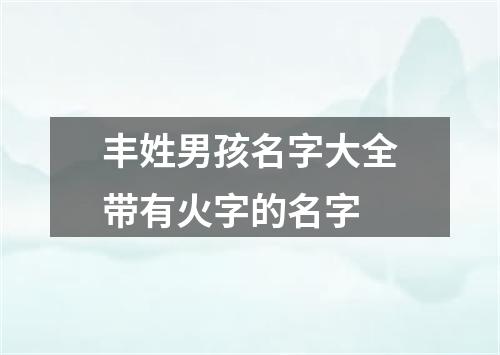 丰姓男孩名字大全带有火字的名字