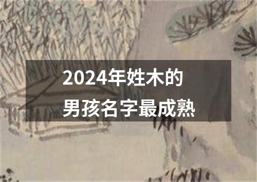 2024年姓木的男孩名字最成熟