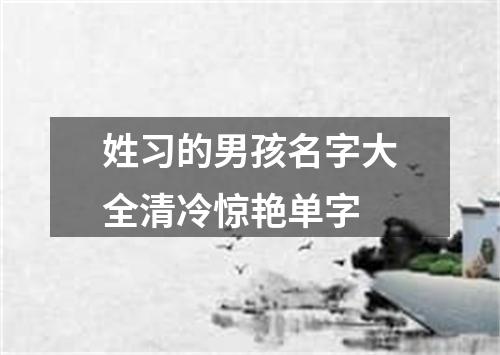 姓习的男孩名字大全清冷惊艳单字