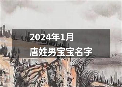 2024年1月唐姓男宝宝名字