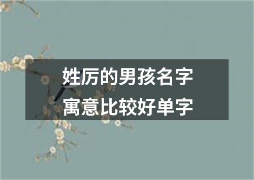 姓厉的男孩名字寓意比较好单字