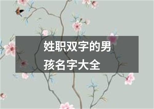 姓职双字的男孩名字大全