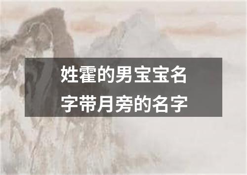 姓霍的男宝宝名字带月旁的名字