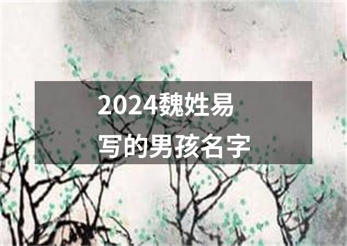 2024魏姓易写的男孩名字