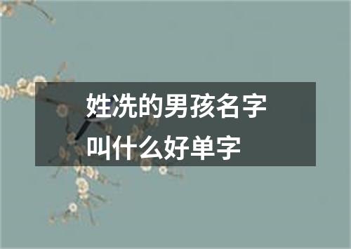 姓冼的男孩名字叫什么好单字