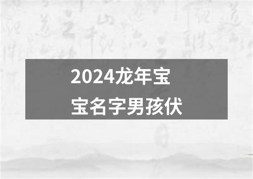 2024龙年宝宝名字男孩伏