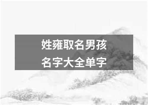 姓雍取名男孩名字大全单字