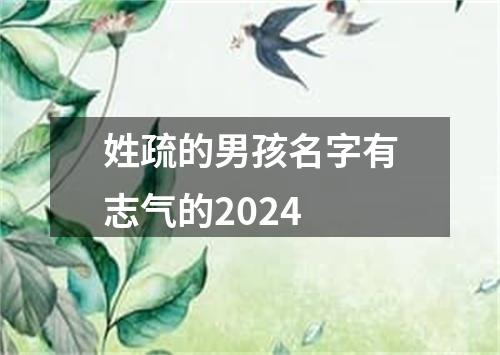 姓疏的男孩名字有志气的2024