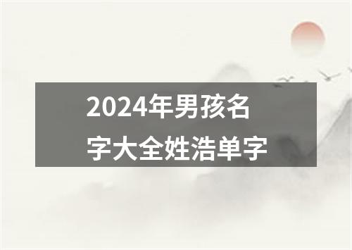 2024年男孩名字大全姓浩单字