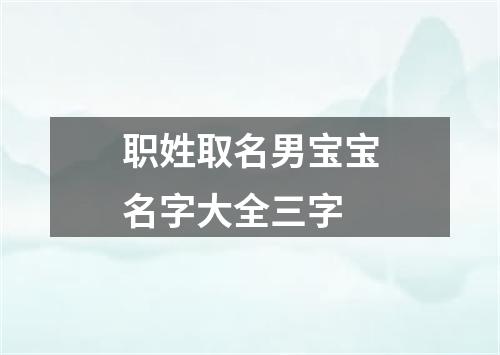 职姓取名男宝宝名字大全三字