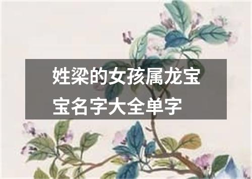 姓梁的女孩属龙宝宝名字大全单字