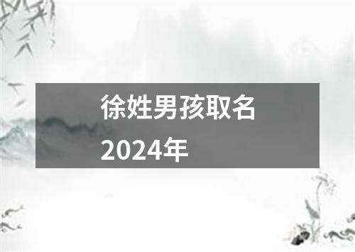 徐姓男孩取名2024年