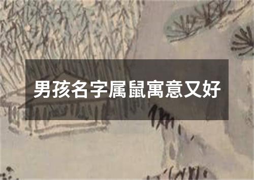 男孩名字属鼠寓意又好