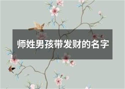 师姓男孩带发财的名字