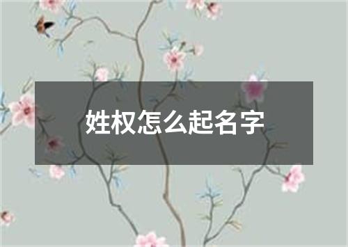 姓权怎么起名字