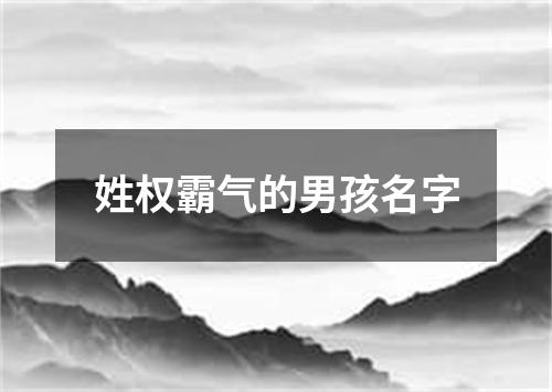 姓权霸气的男孩名字