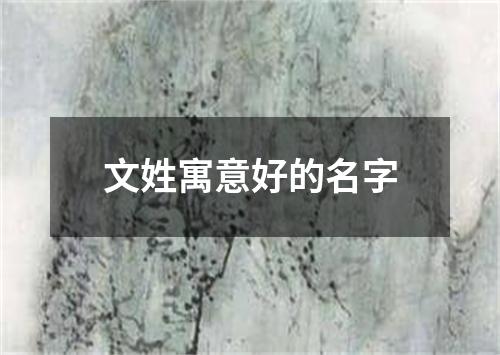 文姓寓意好的名字