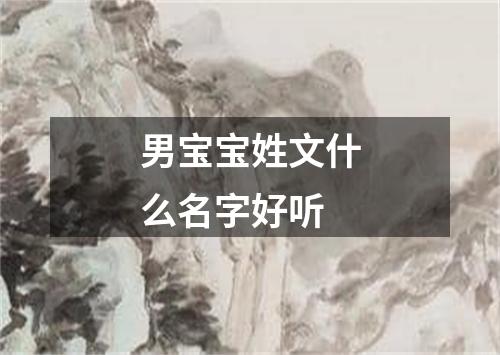 男宝宝姓文什么名字好听