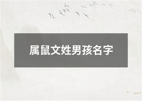 属鼠文姓男孩名字