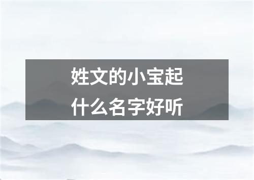 姓文的小宝起什么名字好听