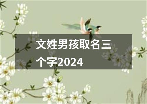 文姓男孩取名三个字2024