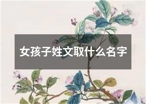 女孩子姓文取什么名字