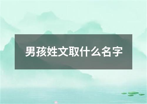 男孩姓文取什么名字