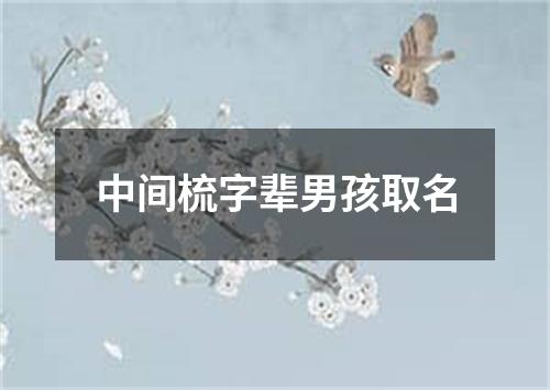 中间梳字辈男孩取名