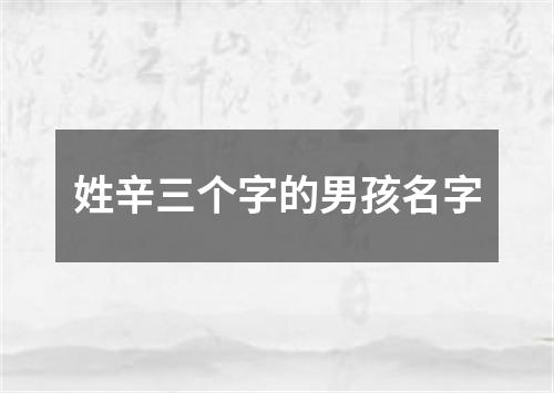 姓辛三个字的男孩名字