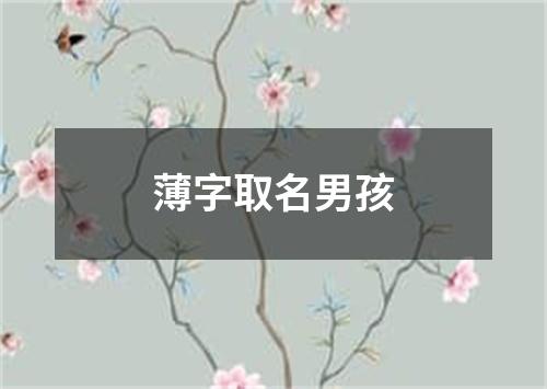 薄字取名男孩