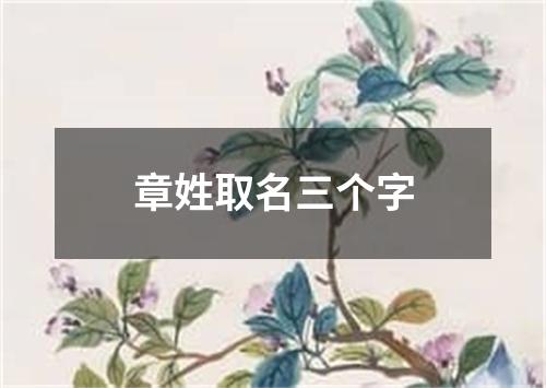 章姓取名三个字