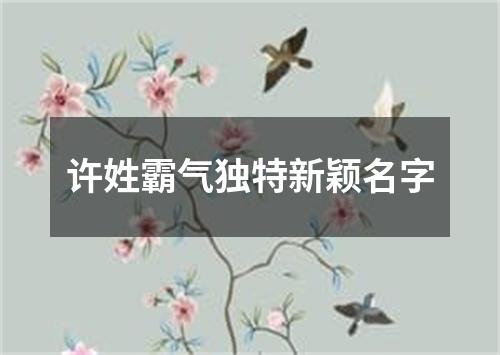 许姓霸气独特新颖名字