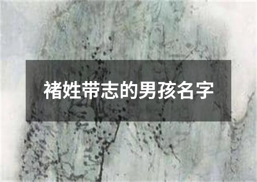 褚姓带志的男孩名字