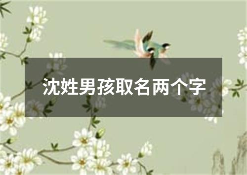 沈姓男孩取名两个字