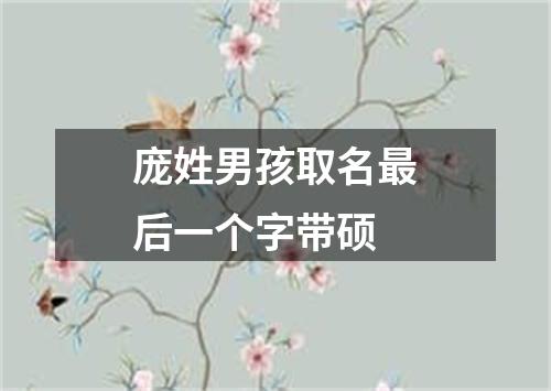 庞姓男孩取名最后一个字带硕