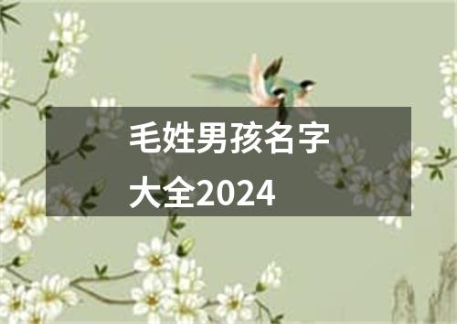 毛姓男孩名字大全2024