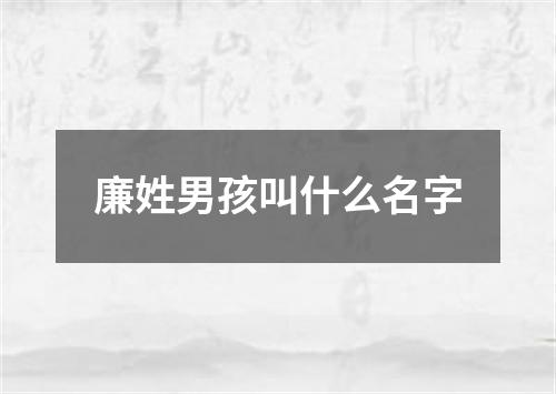 廉姓男孩叫什么名字