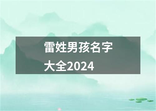 雷姓男孩名字大全2024