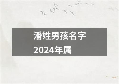 潘姓男孩名字2024年属