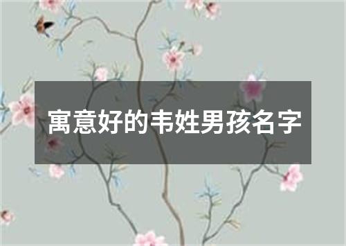 寓意好的韦姓男孩名字