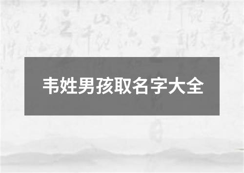 韦姓男孩取名字大全