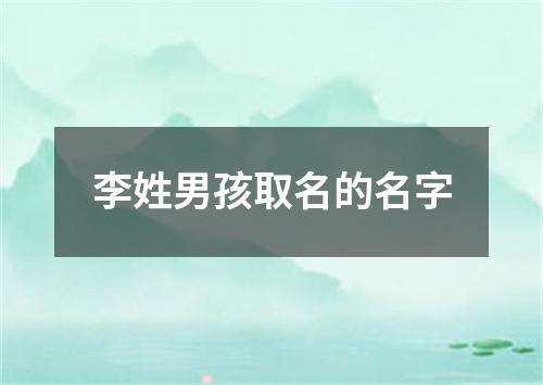 李姓男孩取名的名字