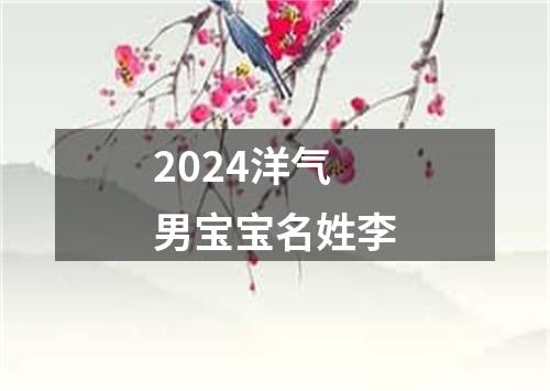 2024洋气男宝宝名姓李